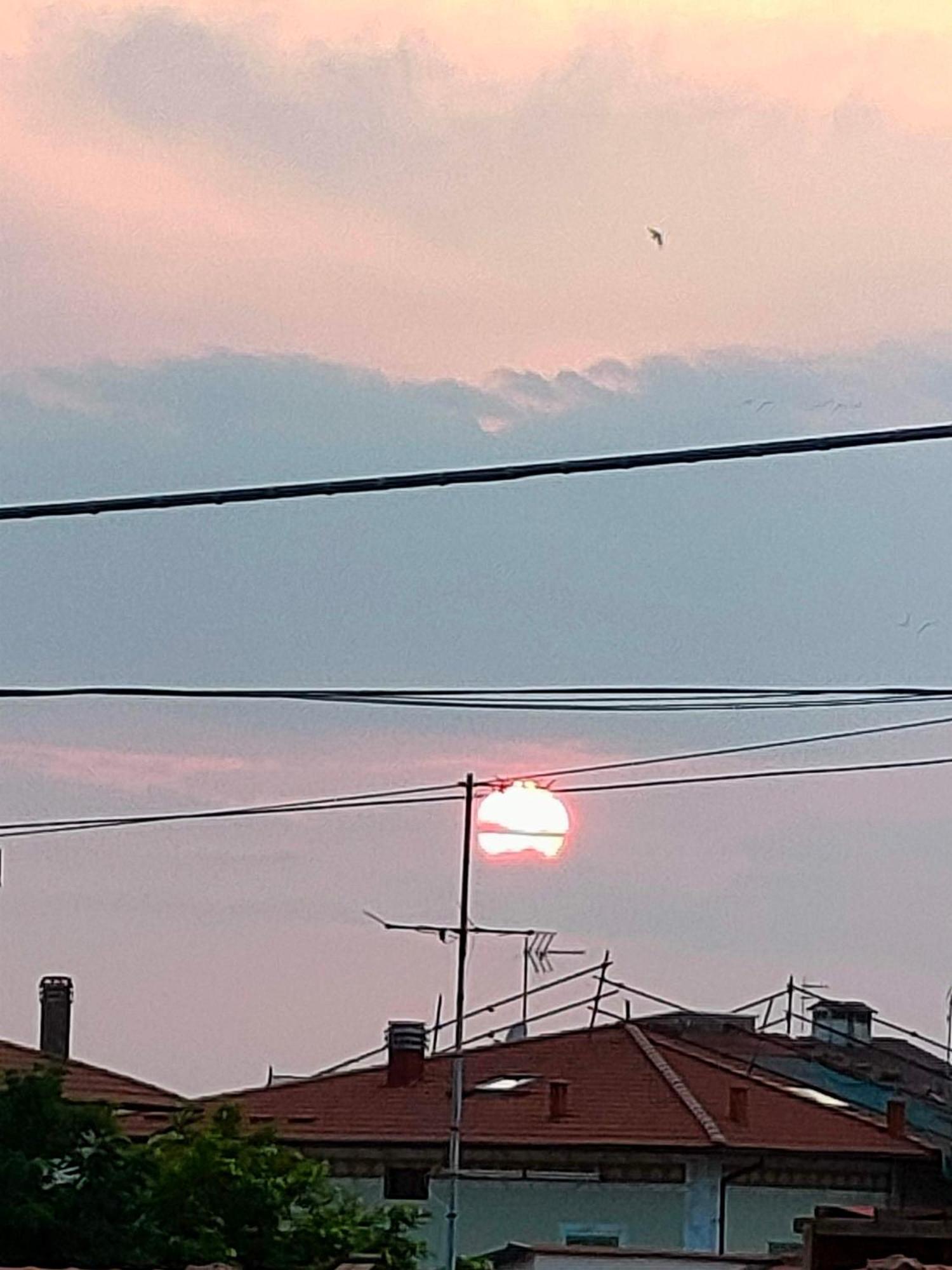 MonoPat Hotel Marina Di Pisa Bagian luar foto